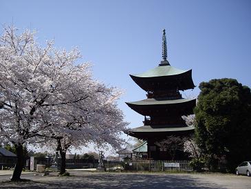 安行・西福時　おすすめ！