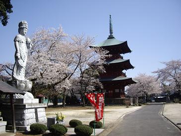 川口・安行の西福寺はのんびりした癒しの空間なのよぉ。