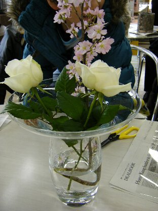 20110227flower13
