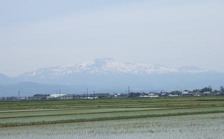2007.05.23-2