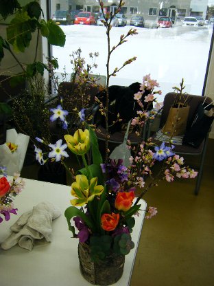 20110227flower07