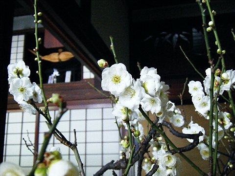 20110212sake-19