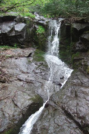 2007.05.11-4