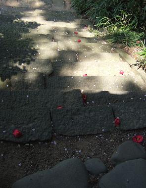 2007.05.10