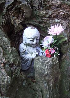 2007.05.10-3