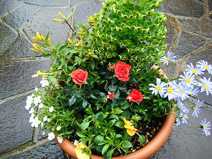 20110502-2