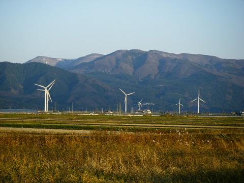 20081130 風車