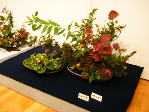 201110 花展01