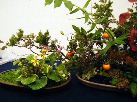 201110 花展04