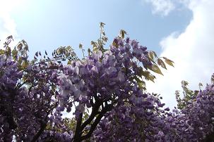2007.05.13-11