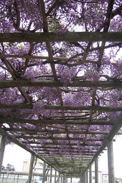2007.05.13-12