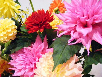 201110 花展05