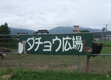2007.07.01-2