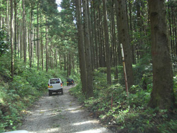2008-10.04-046.jpg