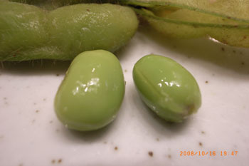 RIMG0009.jpg
