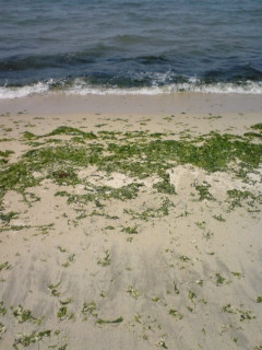 070513_1311~02.jpg