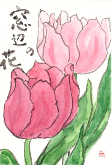 八重咲きチューリップ 絵手紙 花の絵手紙 楽天ブログ