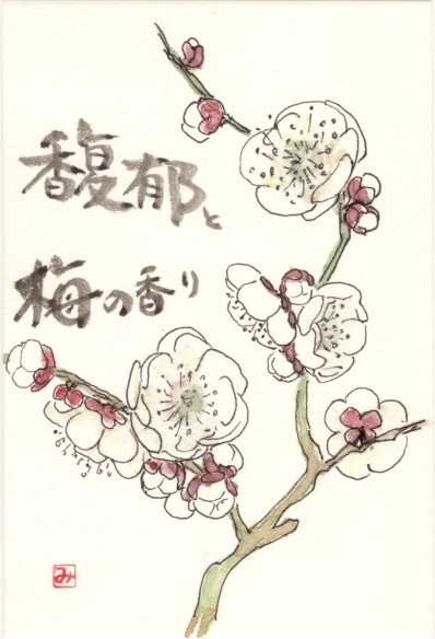 ２月 花の絵手紙 楽天ブログ