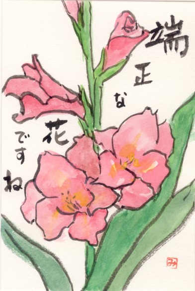 グラジオラス 絵手紙 花の絵手紙 楽天ブログ
