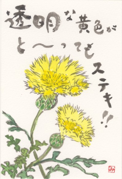 イエローサルタン 花の絵手紙 楽天ブログ