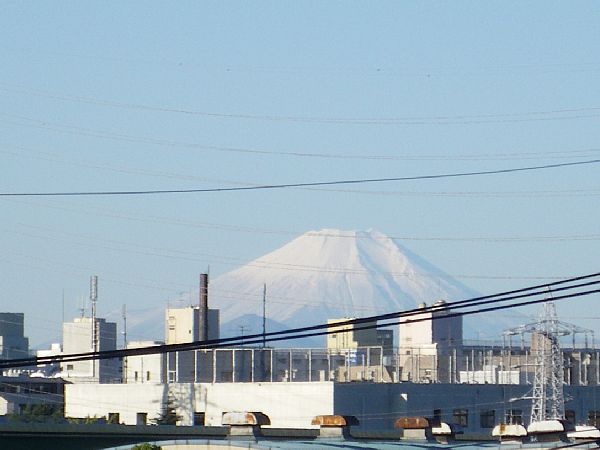 fujiIMGP1671.jpg