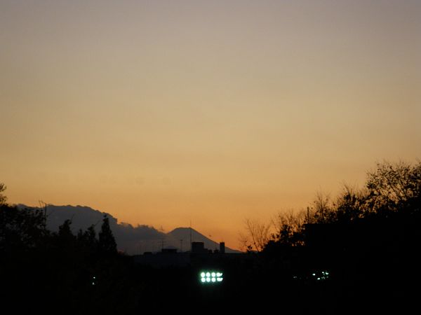 fjiIMGP0232.jpg