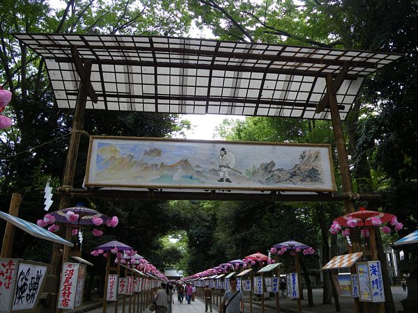 ookIMGP1418.jpg