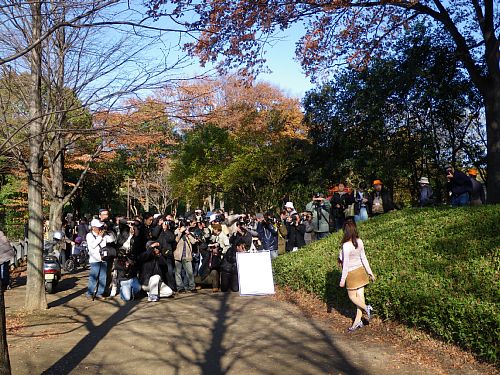 xIMGP0215.jpg