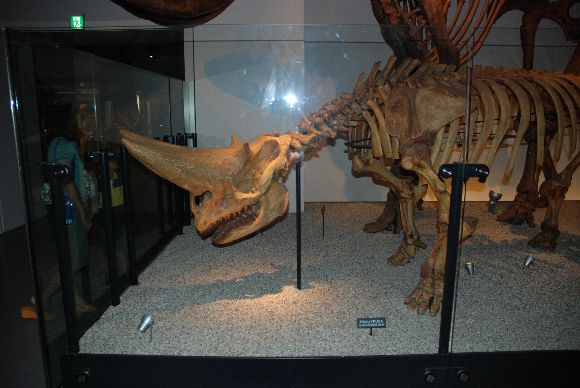 arsiDSC_4987.jpg