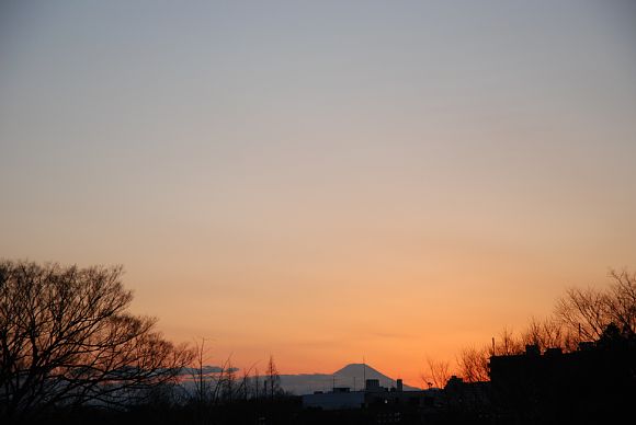 fujiDSC_2307.jpg