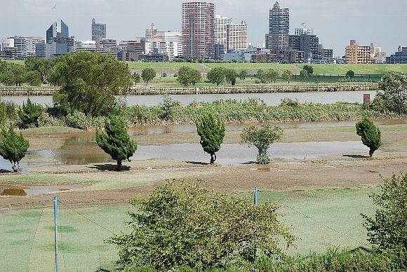 kawaDSC_0001.jpg