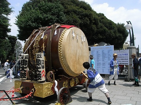 maturidaiko