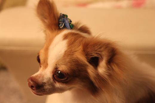 karin sora hana 819 255.JPG