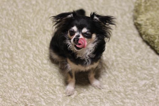 karin sora hana 819 315.JPG