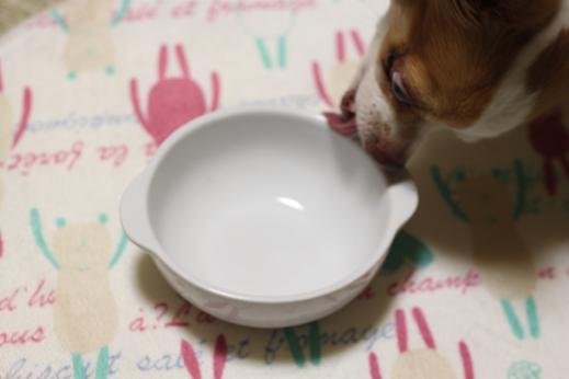 karin sora hana 819 318.JPG