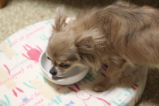 karin sora hana 819 320.JPG