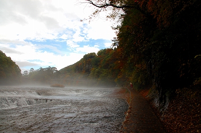 PO20081025_0608.jpg