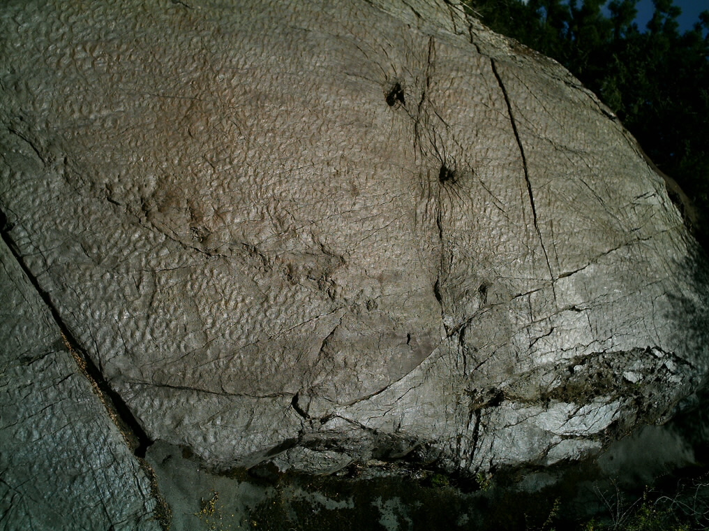 IMAG0019.JPG
