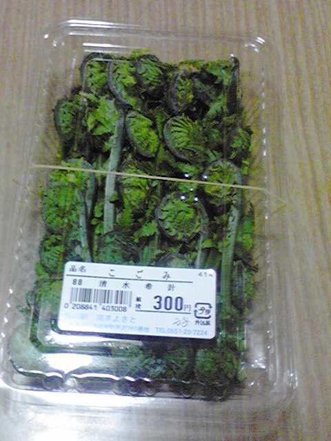 PAP_0953.JPG