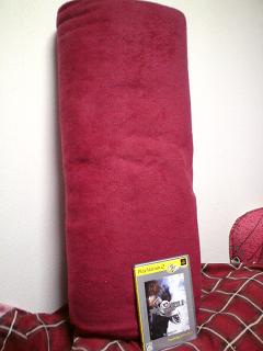 20100116090127.jpg