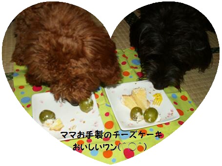 おいしいワン