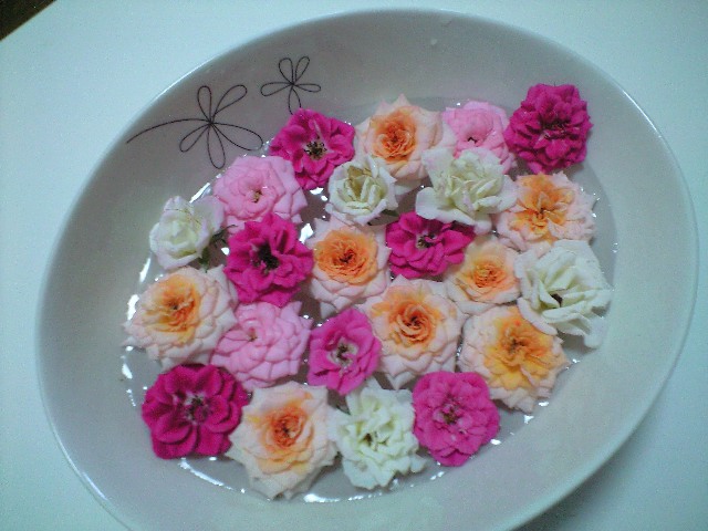 お水にプカプカ♪