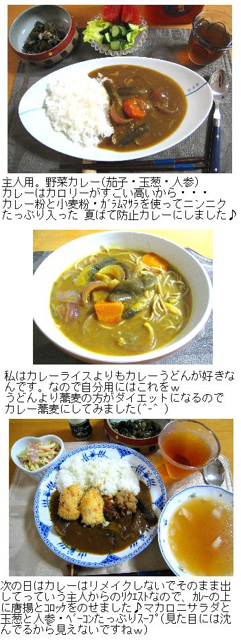 ｶﾚｰ.jpg