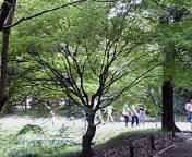 2009-09-23 10:36:03
