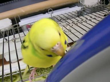 入っちゃダメ！