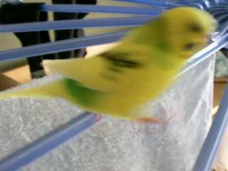 じゃんぷ２