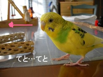 通りすがり.JPG