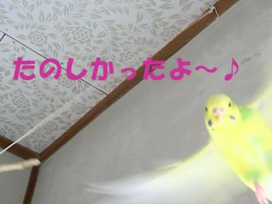 たのしかったよ