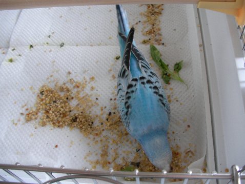 夢中