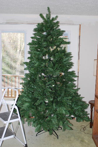クリスマスツリー　in Process　12-14-08